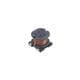 Sumida CR54NP-7R6MC