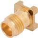 Amphenol / SV Microwave 1621-00001