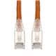 Amphenol ProLabs C-35FCAT6AS-OE