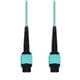 Amphenol ProLabs C-MPOMPO-3M5OM4AP