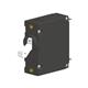 Carling Technologies AA1-B0-24-630-1B1-C