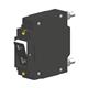 Carling Technologies C21-B0-24-610-41A-E
