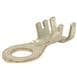 Aptiv (formerly Delphi) 12146745-L