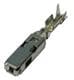Aptiv (formerly Delphi) 13790534