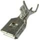 Aptiv (formerly Delphi) 13843152