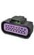 Aptiv (formerly Delphi) 15479300