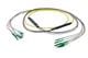 Pasternack PE3FCA380-30M
