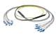 Pasternack PE3FCA453-30M