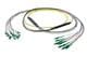 Pasternack PE3FCA456-30M