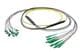 Pasternack PE3FCA460-15M
