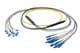 Pasternack PE3FCA461-30M