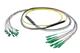 Pasternack PE3FCA462-30M