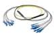 Pasternack PE3FCA467-10M
