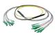 Pasternack PE3FCA468-25M