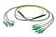 Pasternack PE3FCA468-5M