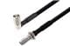 Pasternack PE3W17871-50CM