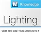  LEDs - Strips - Flexible - Blue