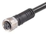 Molex Brad M8 & M12 Cordsets
