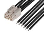 Molex 216291-1061