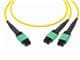 Molex 106225-1004