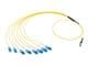 Molex 106292-0901