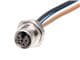 Molex 1205020032