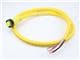 Molex 1300061186
