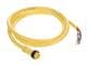 Molex 1300070115