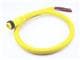 Molex 1300080231