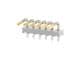 Molex 41772-0484
