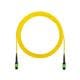Panduit FX2ERLNSNSNM007