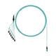 Panduit FXTRL8NUFSNM030