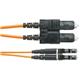Panduit NKFPX2ERLSSM002