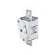 Schurter 8060.0079