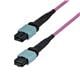 StarTech OS2MTP12AOFNP10M