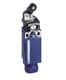 Telemecanique XCPR2121P20